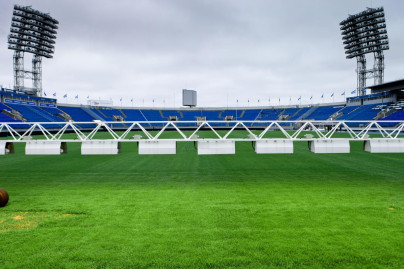 Газон Петровского