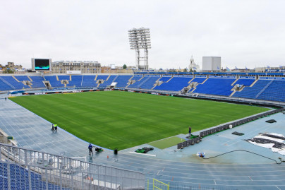 Газон Петровского
