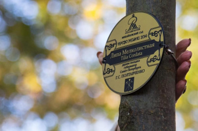 «Зенит» — участник благотворительной акции «Древо жизни»
