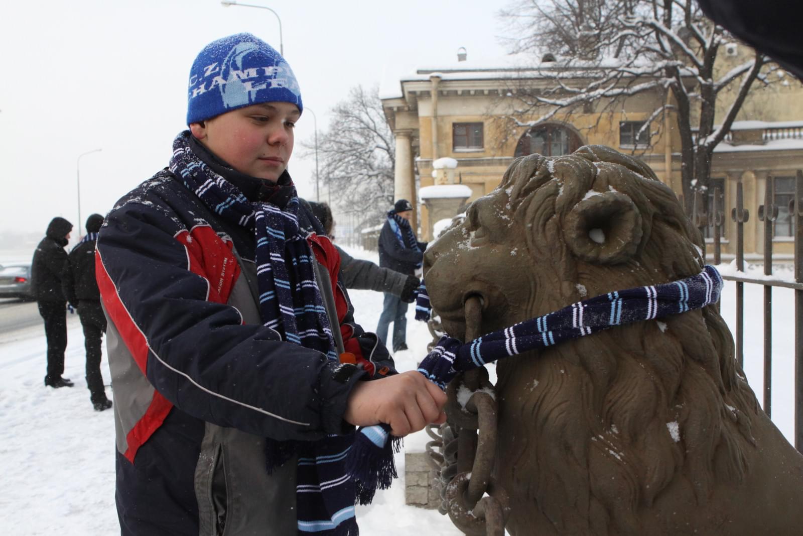 Повязка шарфов питерским львам