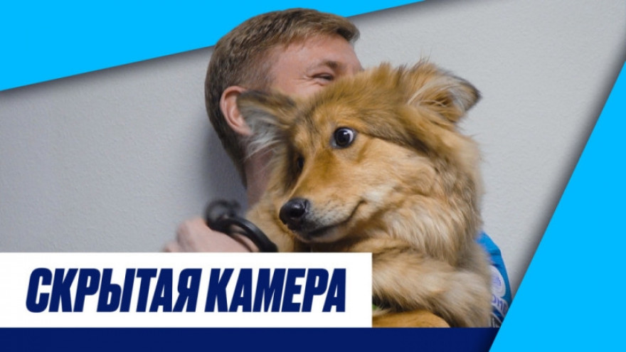 Скрытая камера: собаки на арене, опустевший Вираж и ничья с «Ростовом» Скрытая камера: собаки на арене, опустевший Вираж и ничья с «Ростовом»