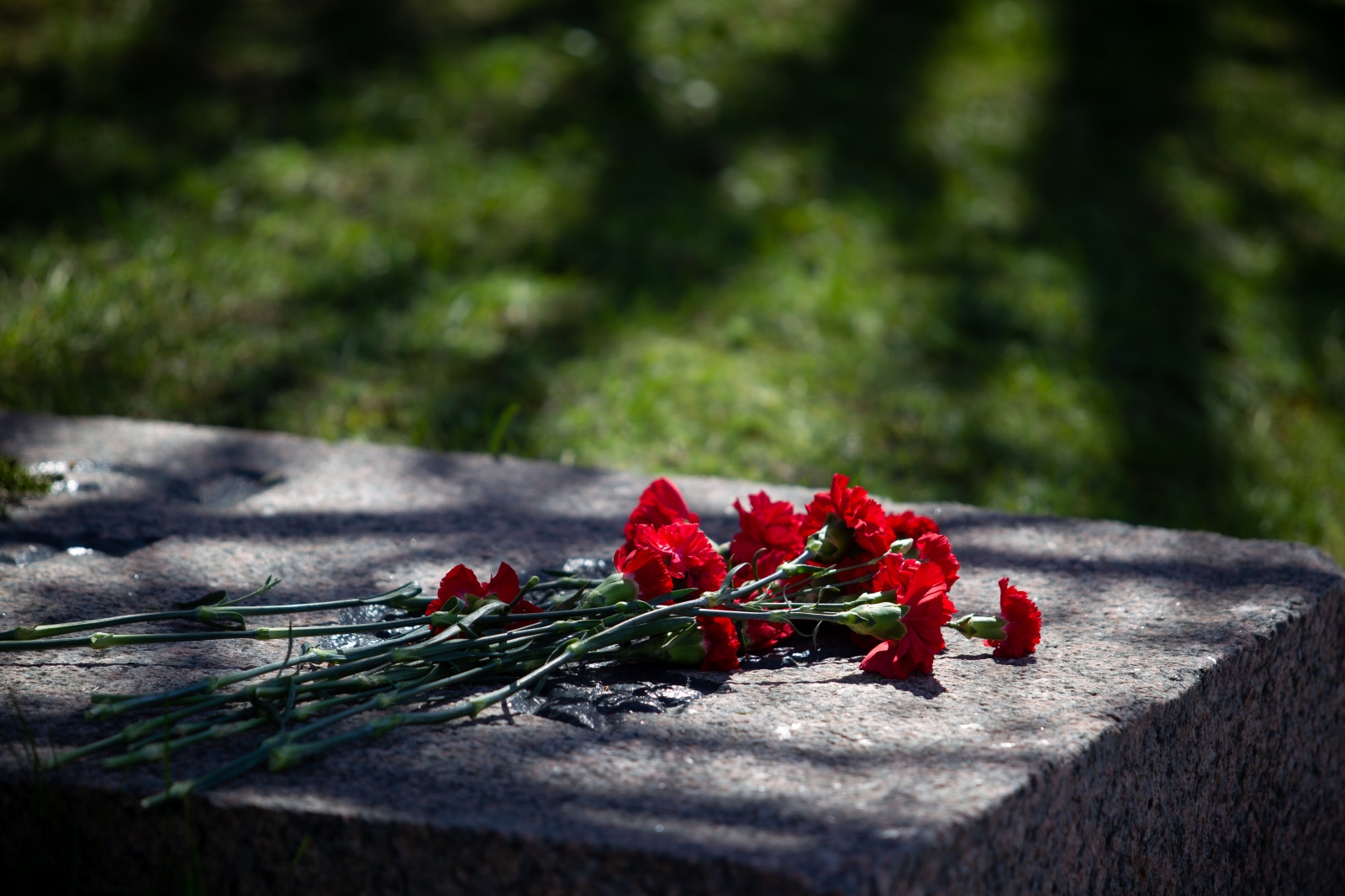 «Зенит» на Пискаревском мемориале