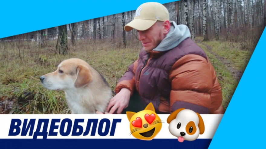 Видеоблог «Зенит-ТВ»: четвероногие друзья сине-бело-голубых Видеоблог «Зенит-ТВ»: четвероногие друзья сине-бело-голубых